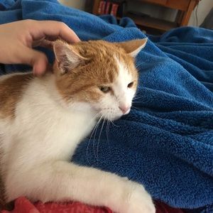 Meet your Posher, Kailey